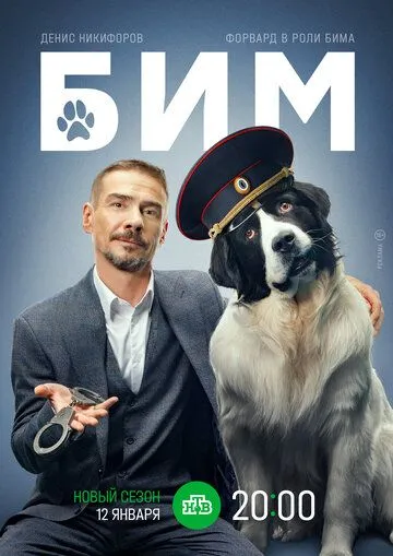 БиМ сериал